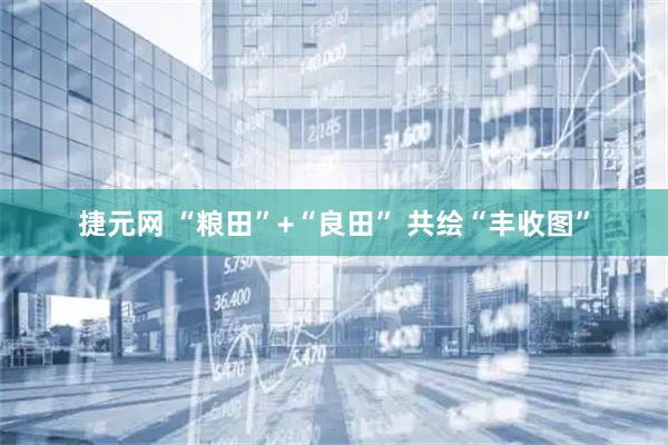 捷元网 “粮田”+“良田” 共绘“丰收图”