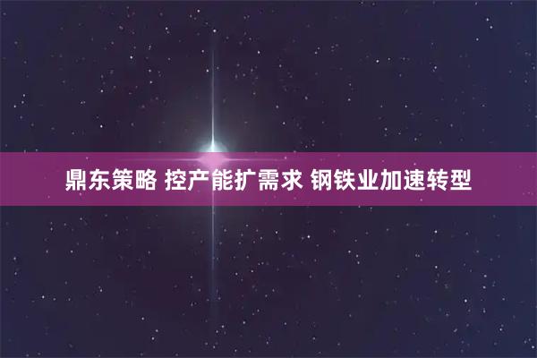 鼎东策略 控产能扩需求 钢铁业加速转型