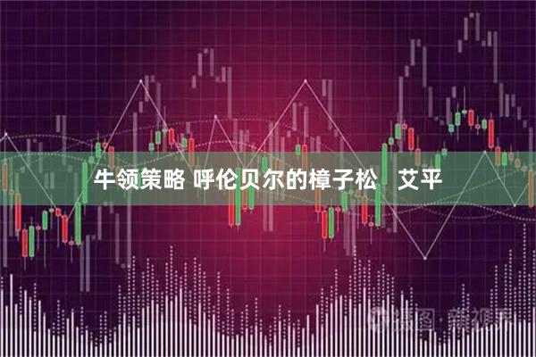 牛领策略 呼伦贝尔的樟子松   艾平
